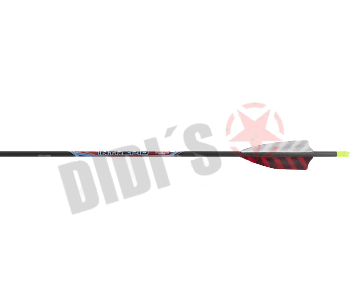Black Eagle Intrepid Carbon-Pfeil mit Federfahnen – Einsteiger