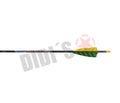 Black Eagle Intrepid Carbon-Pfeil mit Federfahnen – Einsteiger