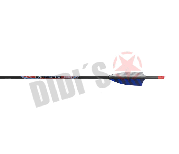 Black Eagle Intrepid Carbon-Pfeil mit Federfahnen – Einsteiger