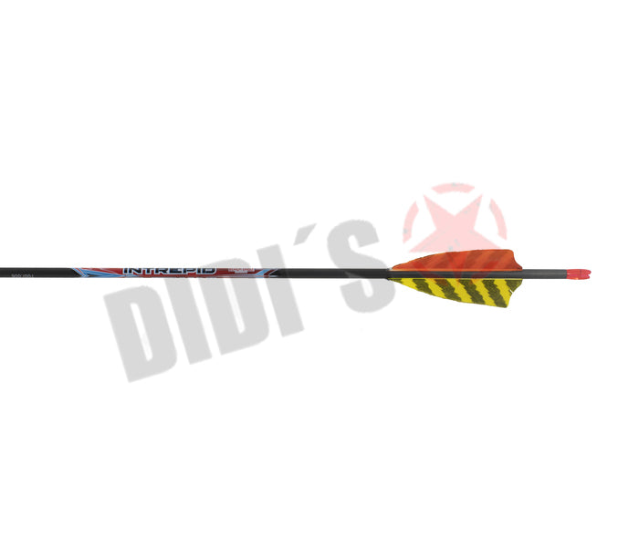 Black Eagle Intrepid Carbon-Pfeil mit Federfahnen – Einsteiger