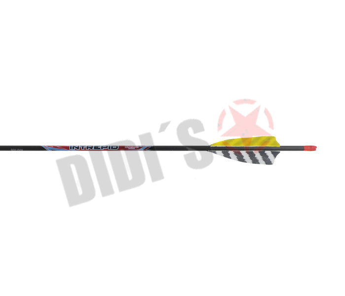 Black Eagle Intrepid Carbon-Pfeil mit Federfahnen – Einsteiger